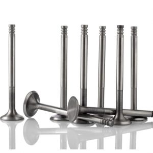 Exhaust valve NISSAN (147089000400)